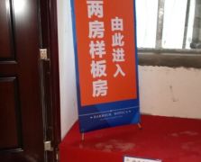 房地产活动策划